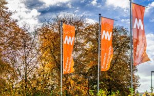 Noordwest organiseert webinar voor (ex-)borstkankerpatiënten