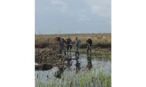 Extra geld voor groene vrijwilligers in Noord-Holland