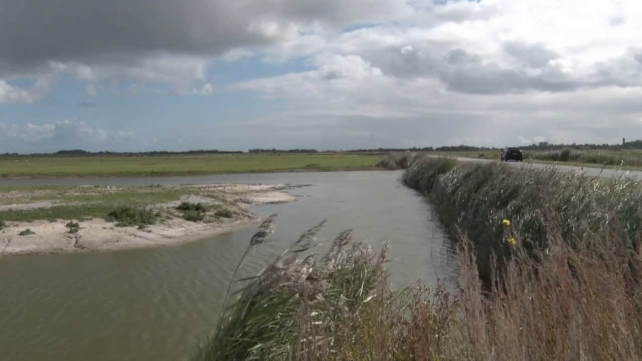 Geen nieuwe natuurgebieden meer op Texel