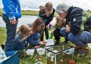 Waterbeestjes zoeken in Natuurgebied De Nollen