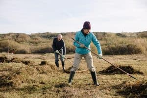 Een dag samen aan de slag voor bijen, vlinders en vogels