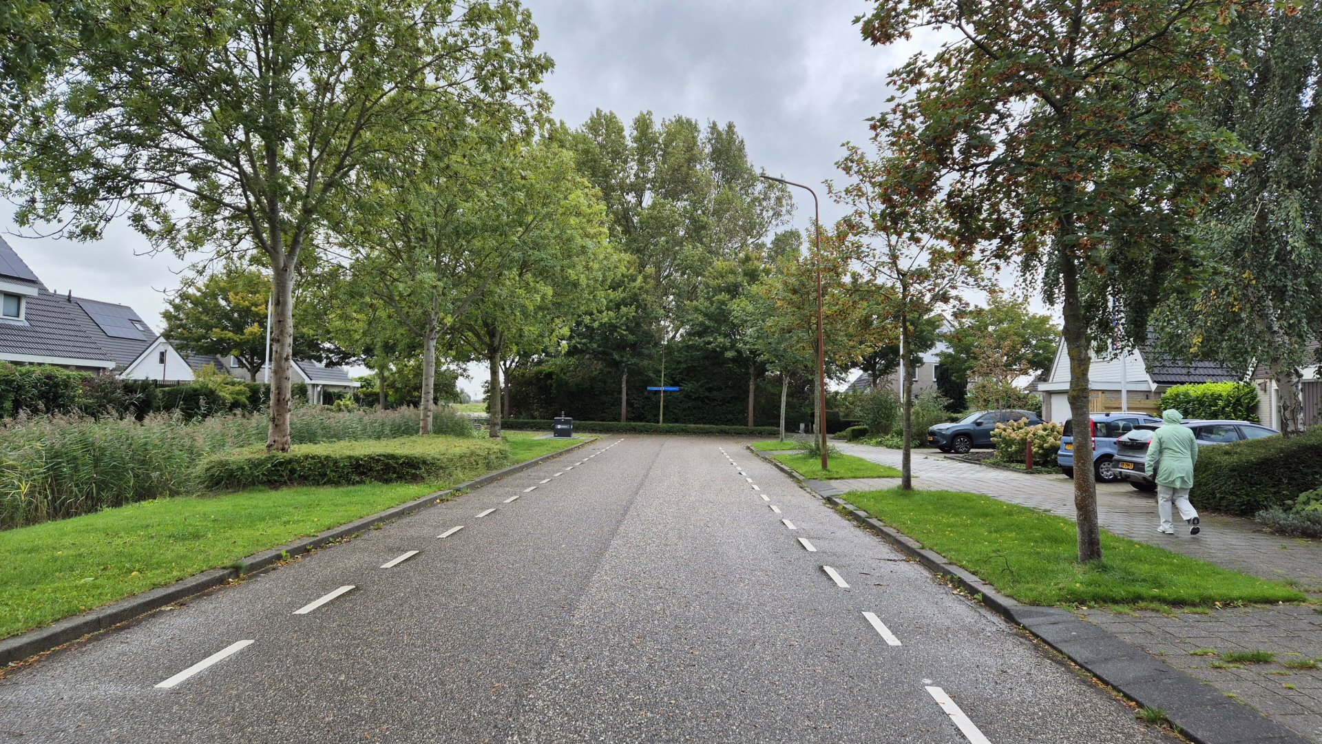Bomen weg voor noodweg Muggenburg Zuid