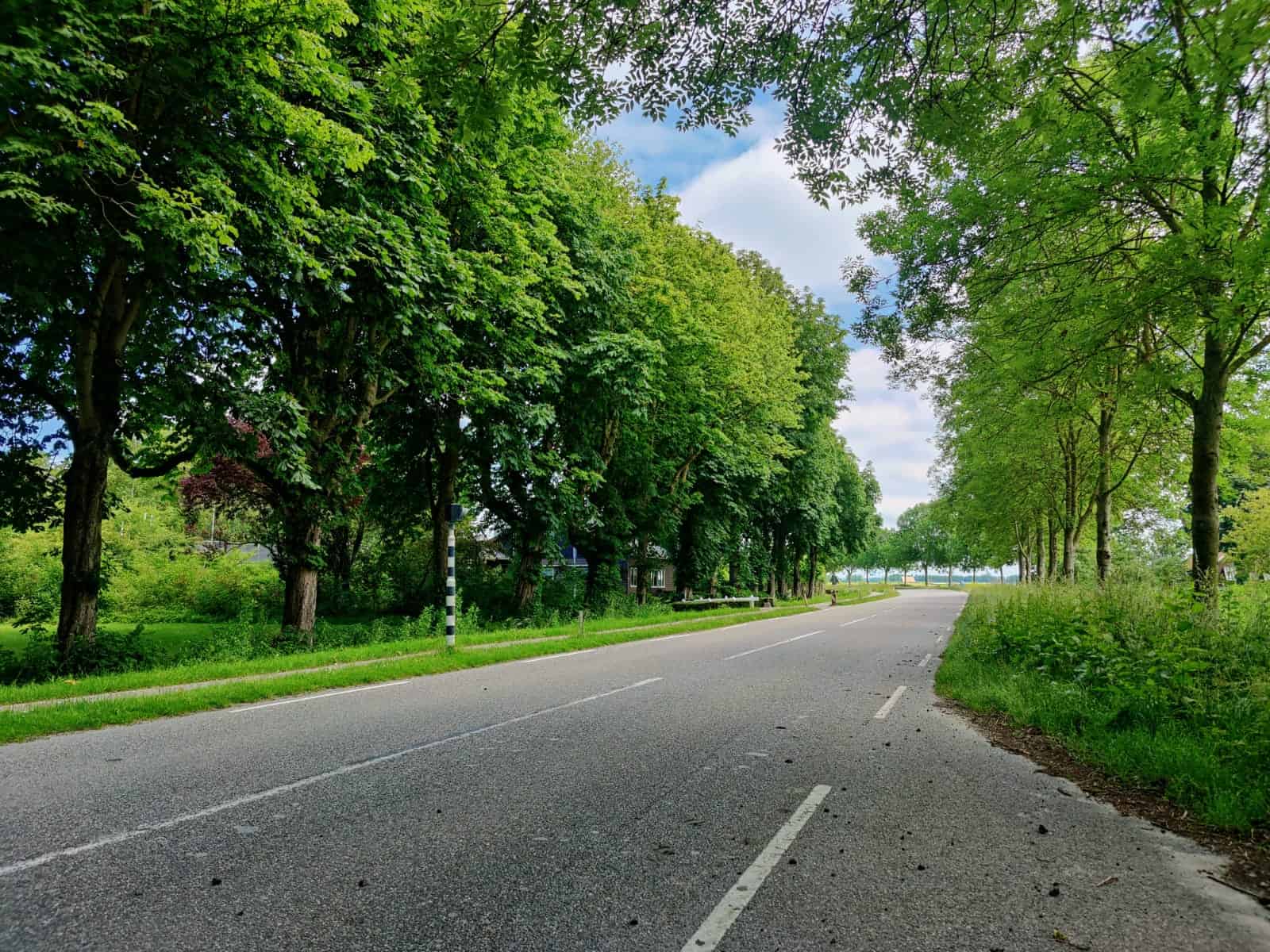 Verordening Fysieke Leefomgeving aangenomen: Kapvergunning blijft, geen uitbreiding winkeltijden