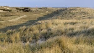 Snelheidsverlaging voor minder stikstof in natuur