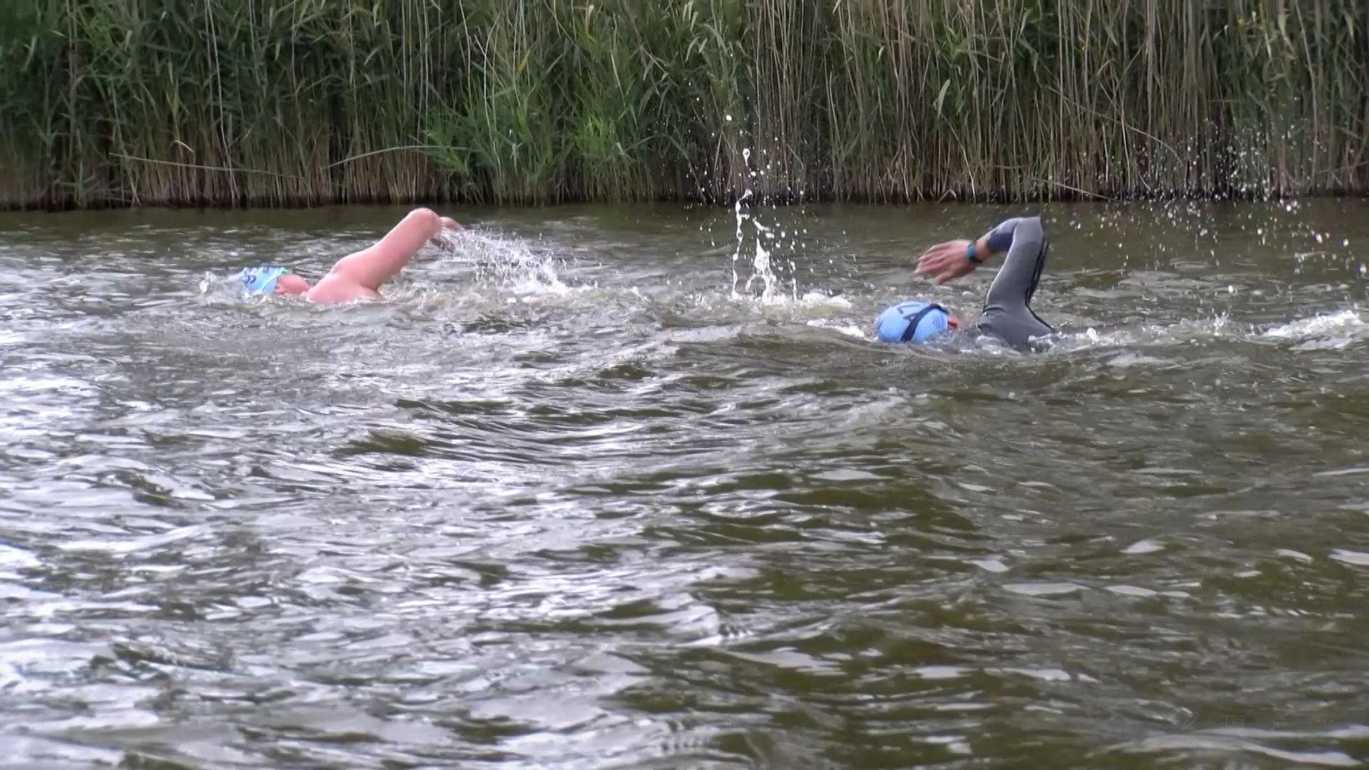 Open water zwemmen in het Oude Veer (video)