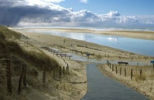 Hoogheemraadschap zet in op biodiversiteit