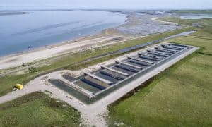 Texel als bakermat voor de ontwikkeling van mariene aquacultuur