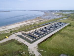 Polder Wassenaar gebruikt voor onderzoeken naar zeegras en zeewierteelt