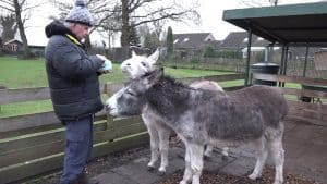 Pleidooi voor vuurwerkverbod in Hollands Kroon