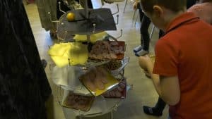 Feestelijke lunch op basisschool De Branding (video)