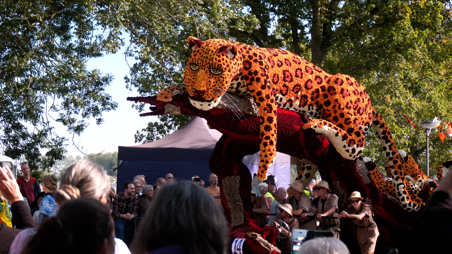 Video: Kleurrijke optocht tijdens Bloemencorso Winkel