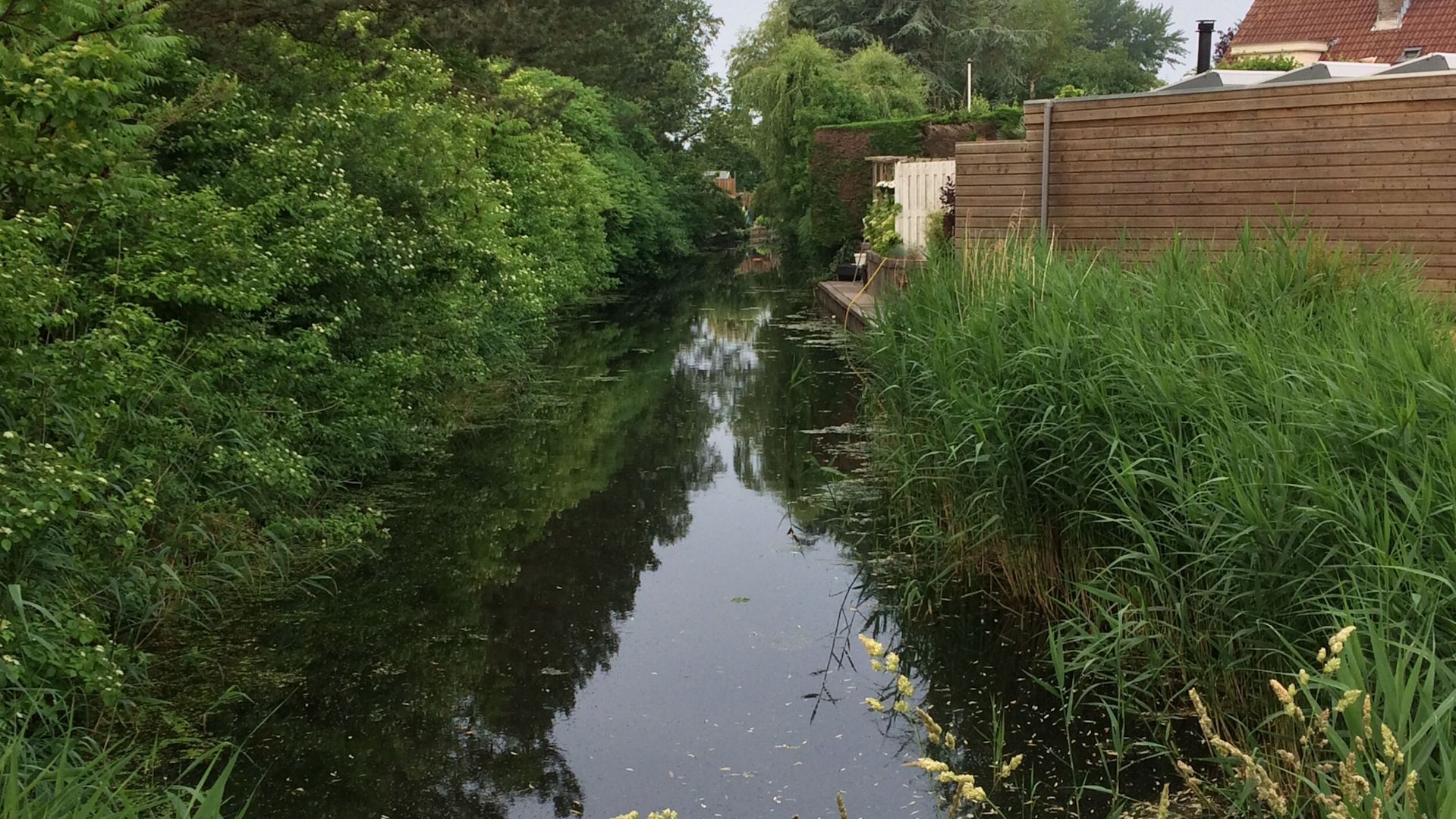 HHNK: Geef water de ruimte, check je sloot