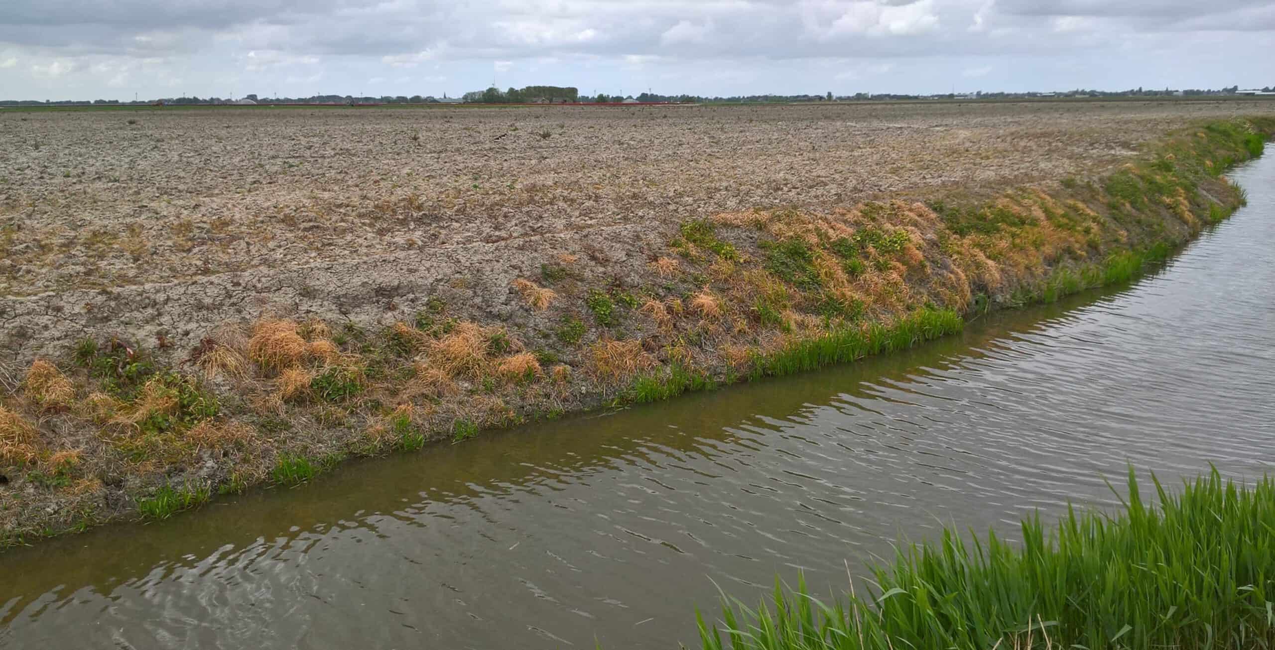 Hoogheemraadschap start toezicht op teeltvrije zones