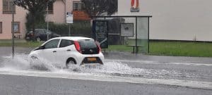 Hoosbui verrast de Noordkop
