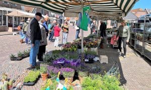 Ouderwets gezellige tuinmarkt in Hippolytushoef