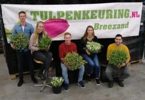 Wie wordt de tulpenkeurkampioen?