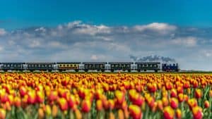 Poëzieroute in de Poldertuin
