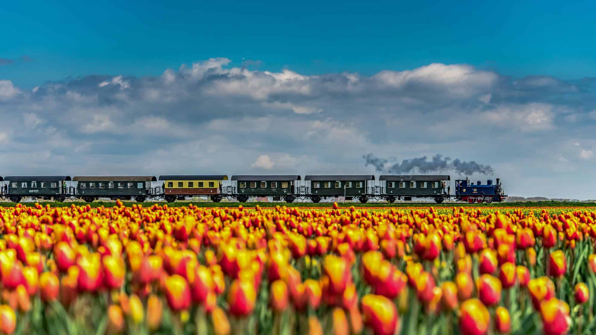 Poëzieroute in de Poldertuin