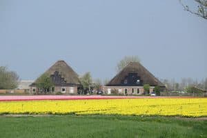 “De stolp verdient veel meer aandacht, zorg en een betere bescherming”