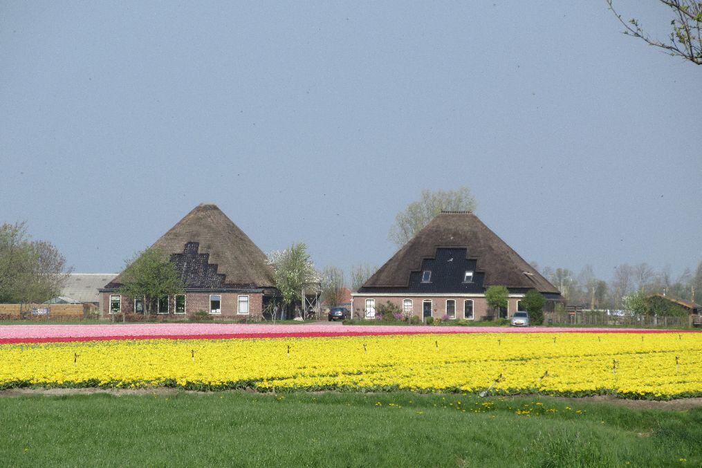 “De stolp verdient veel meer aandacht, zorg en een betere bescherming”