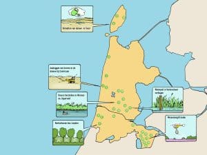 Provincie wil 44 miljoen voor herstel Noord-Hollandse natuur