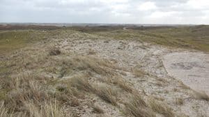 Dronebeelden laten eerste verstuiving in Noordduinen zien