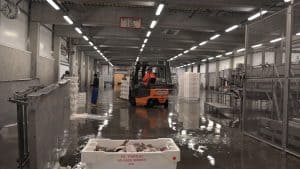 Extra brandstoftoeslag op de vis (video)
