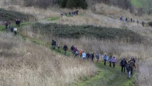 Een stevige wandeling door de bossen van de Wieringermeer; de Lions Kale Takkenloop