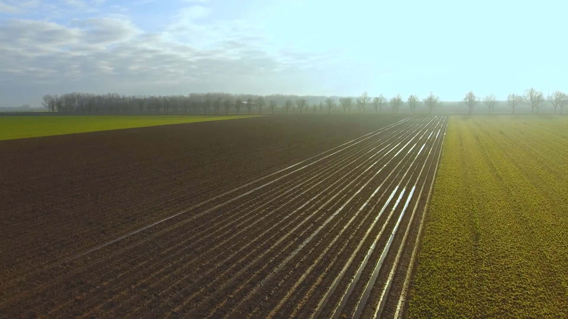 Nieuwe videoclip over de Wieringermeer