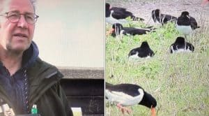 Genieten van de natuur in de Noordkop (video)