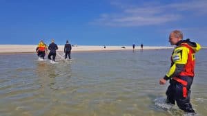 Zeehond bevrijd van vislijn met zes haken
