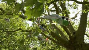 Zwerfie’s Polder Boom vol afval geopend (video)