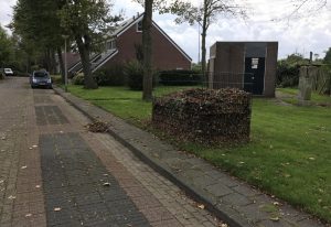 Bladkorven geplaatst in Hollands Kroon