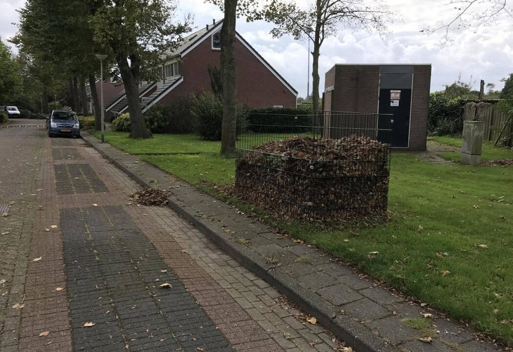 Bladkorven geplaatst in Hollands Kroon
