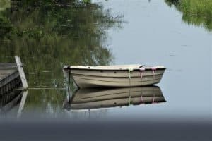 Start de zomervakantie aan de slootrand