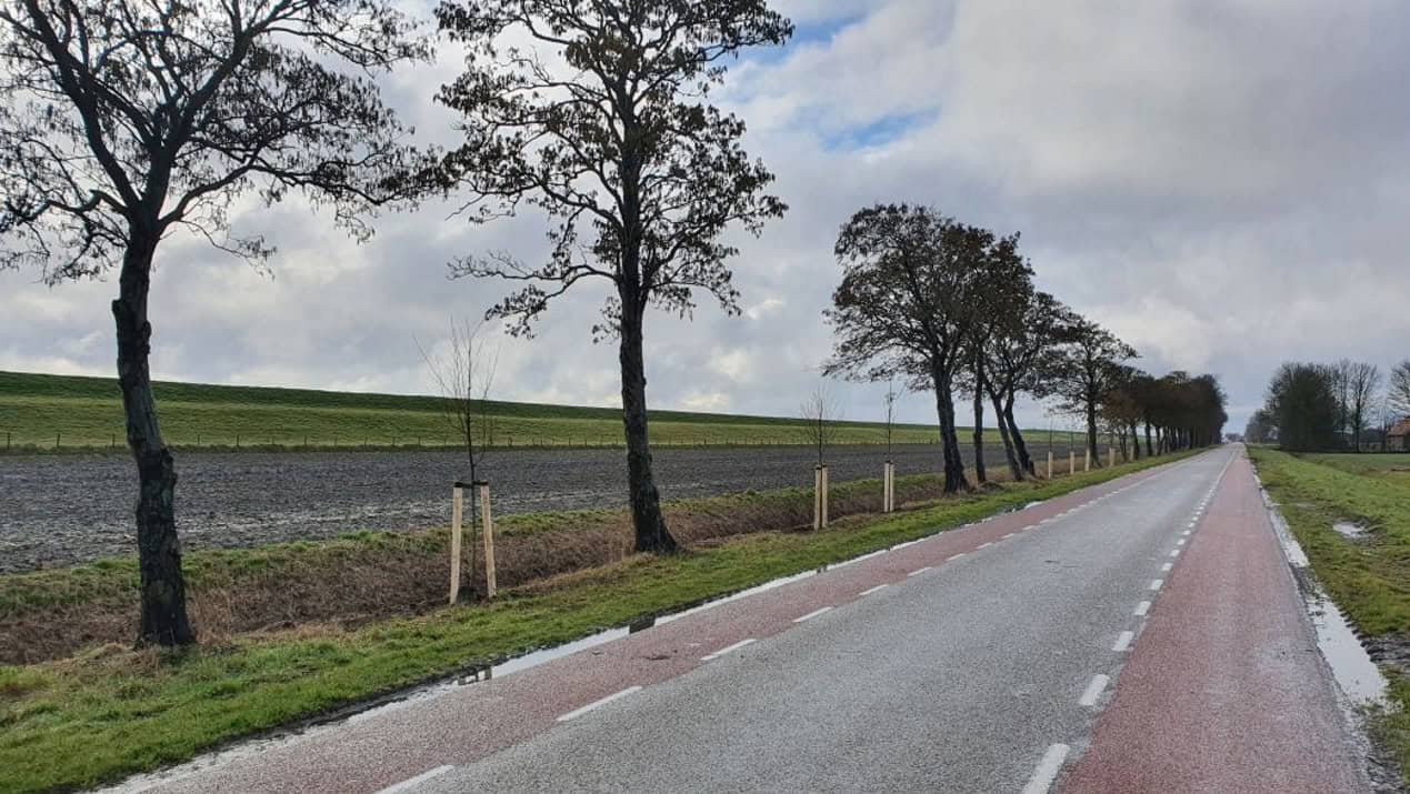 Meer bomen in Hollands Kroon, nieuw bos op losse schroeven