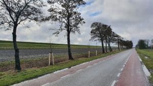 Nieuwe bomen aangeplant aan de Noorder- en Zuiderdijkweg