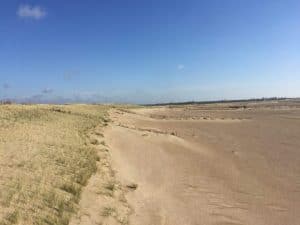 Duinen aan de oostkant van het eiland