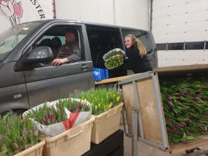 Tulpen Drive Thru op Nationale Tulpendag