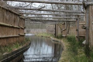 Voorjaar in Eendenkooi ‘t Zand