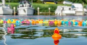 Duckrace in Westerland voor het goede doel