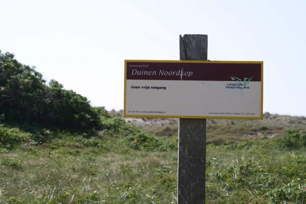 Onderzoek naar het belang van de duinen