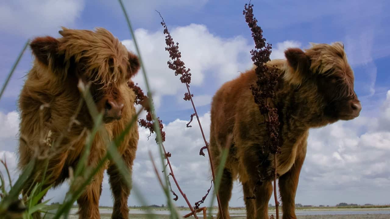 Herfsttour door Nieuw Mariëndal
