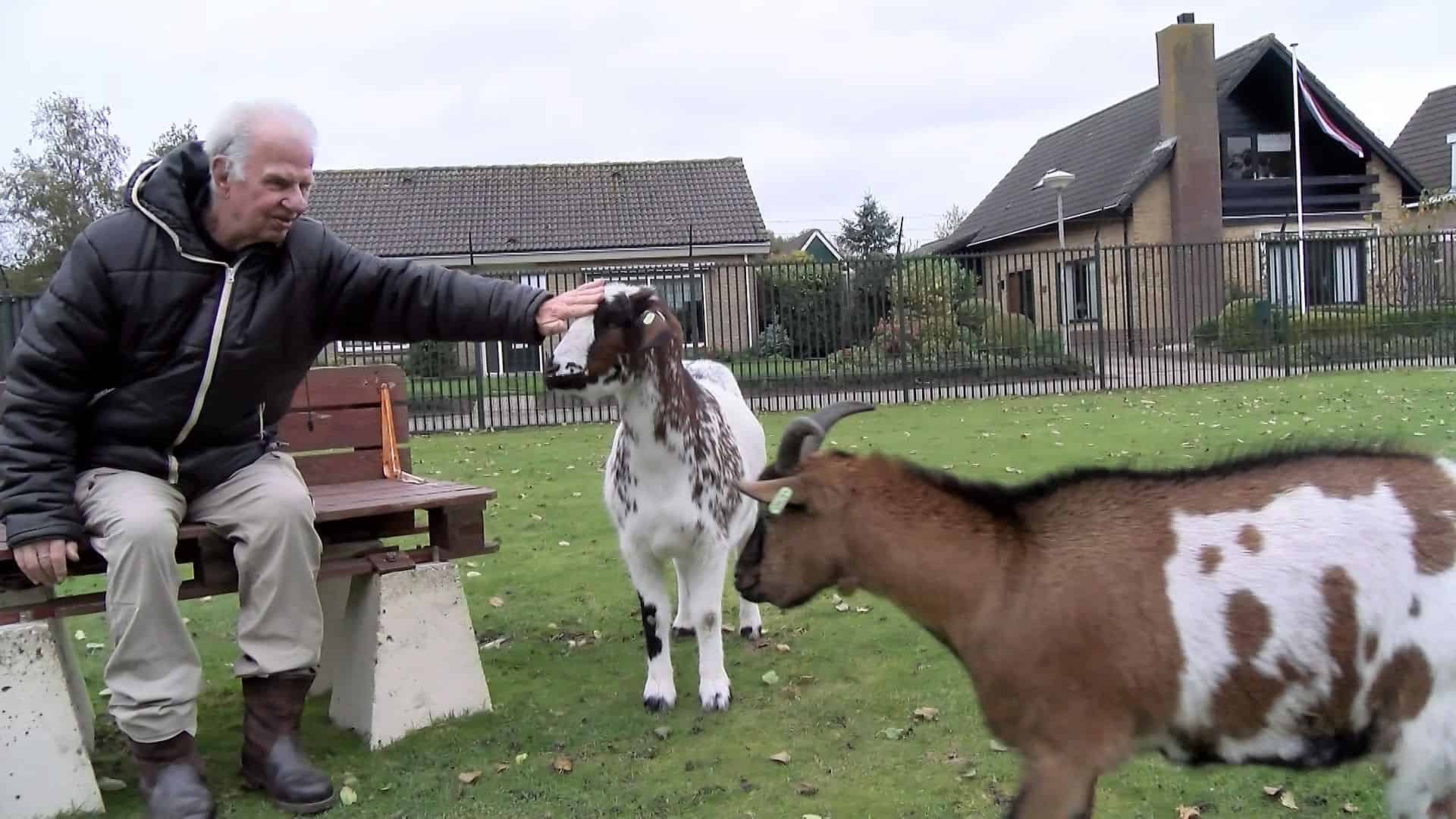 Galjoen op zoek naar vrijwilligers (video)