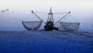 Waddenfonds start opkoopregeling garnalenvissers