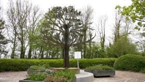 Gedenkboom onthuld op begraafplaats (video)