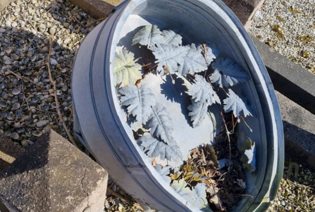Restauratie graftrommels op begraafplaatsen