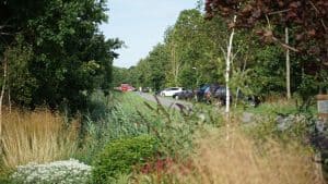 Dode op Landgoed Hoenderdaell (update)