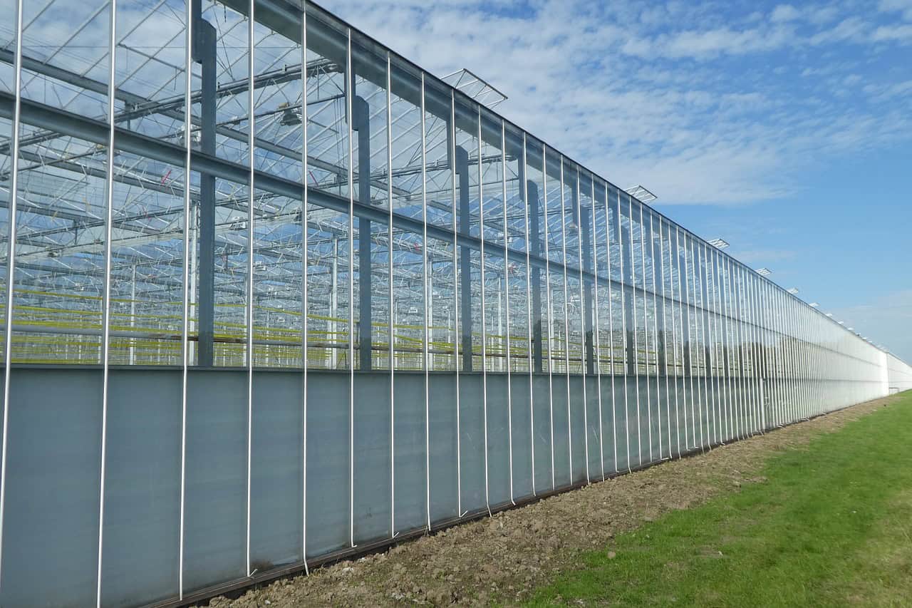 Royal Pride wil huisvesting voor 440 arbeidsmigranten bouwen in Middenmeer