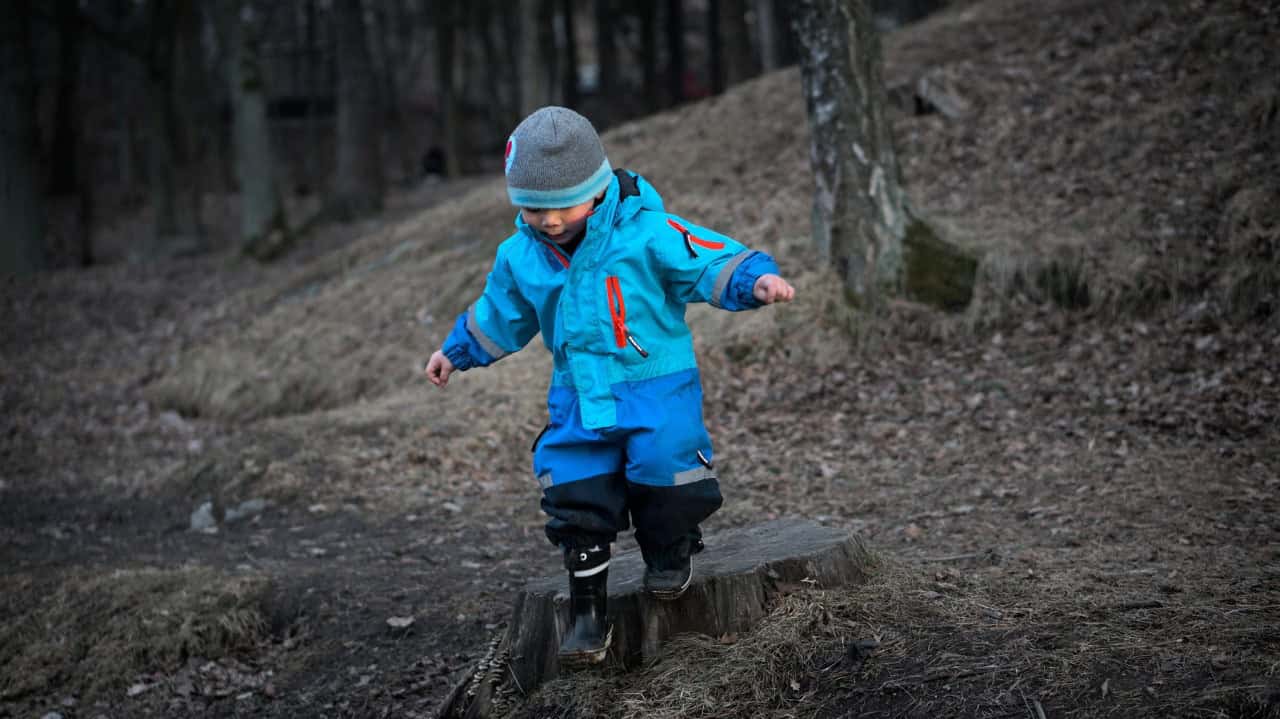 Groentetaartjes maken op de kinderboerderij